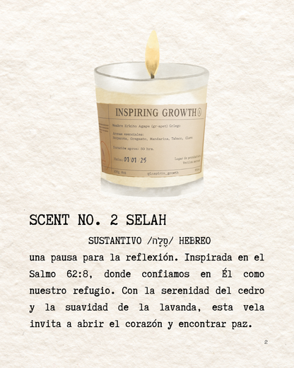 Scent No.2 Selah 245g. 50hrs.