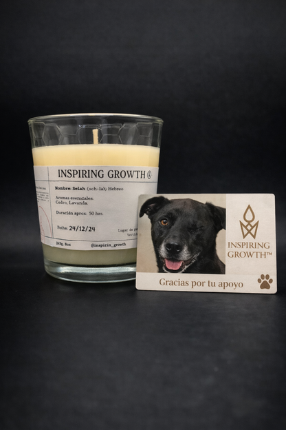 Scent No.2 Selah 245g. 50hrs.