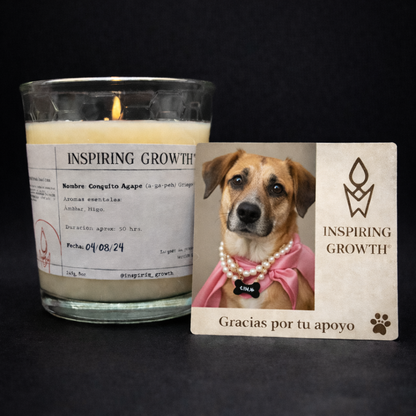 Scent No.4 Coquito Agape 245g. 50hrs.