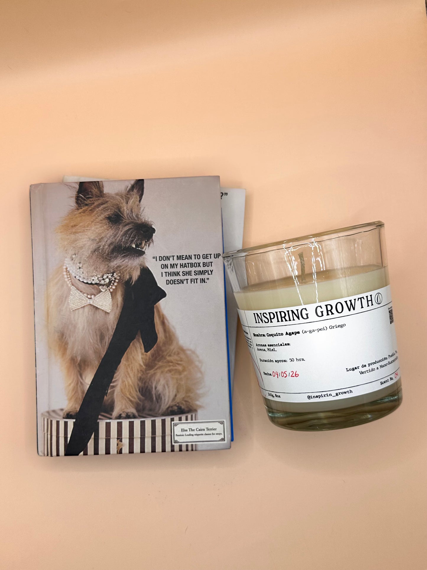 Scent No.4 Coquito Agape 245g. 50hrs.